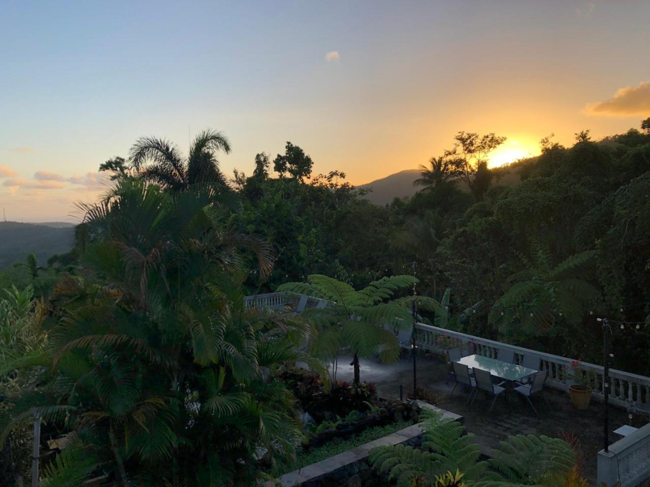 El Yunque Rainforest Inn Rio Grande Exterior photo